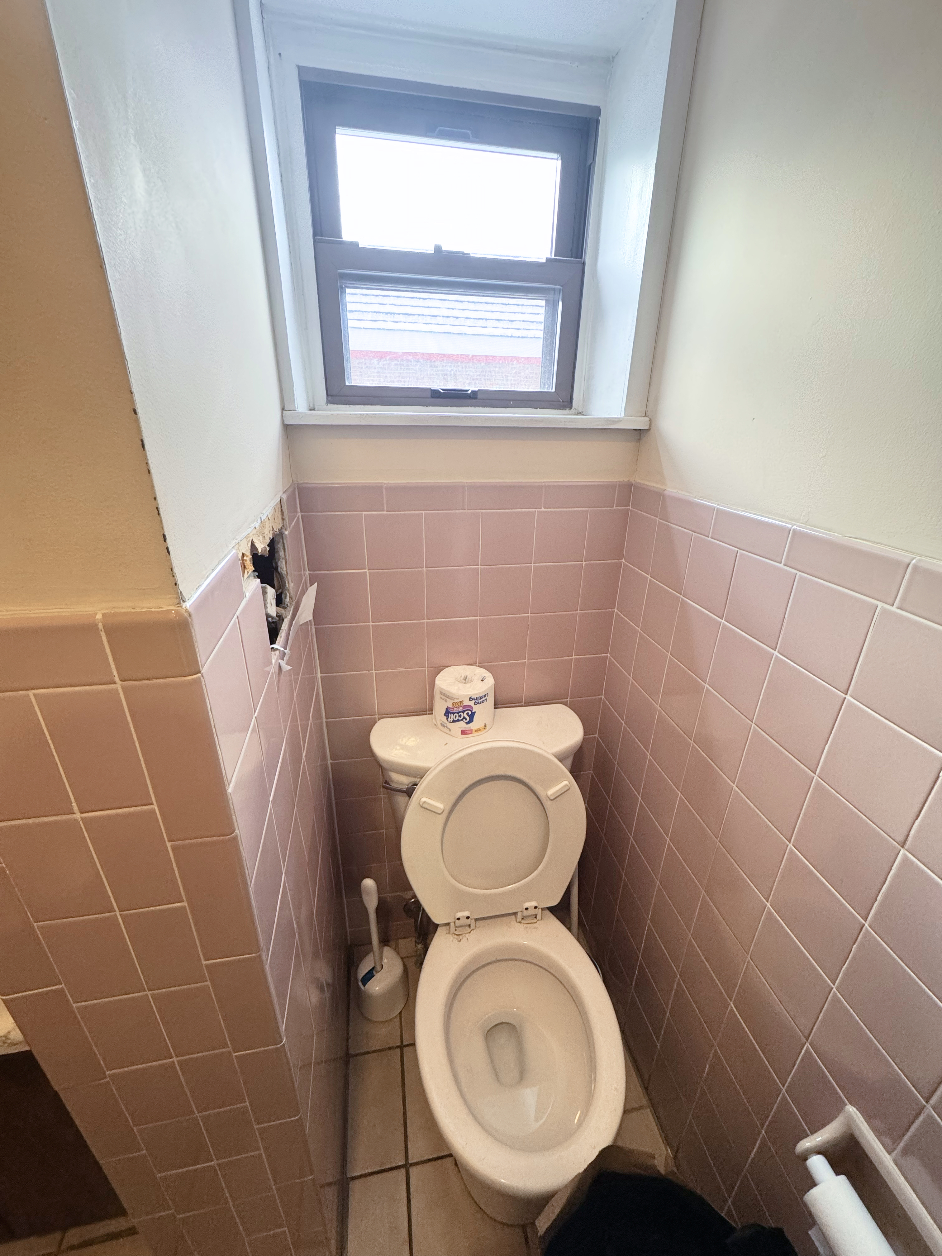 Before photo showing work in