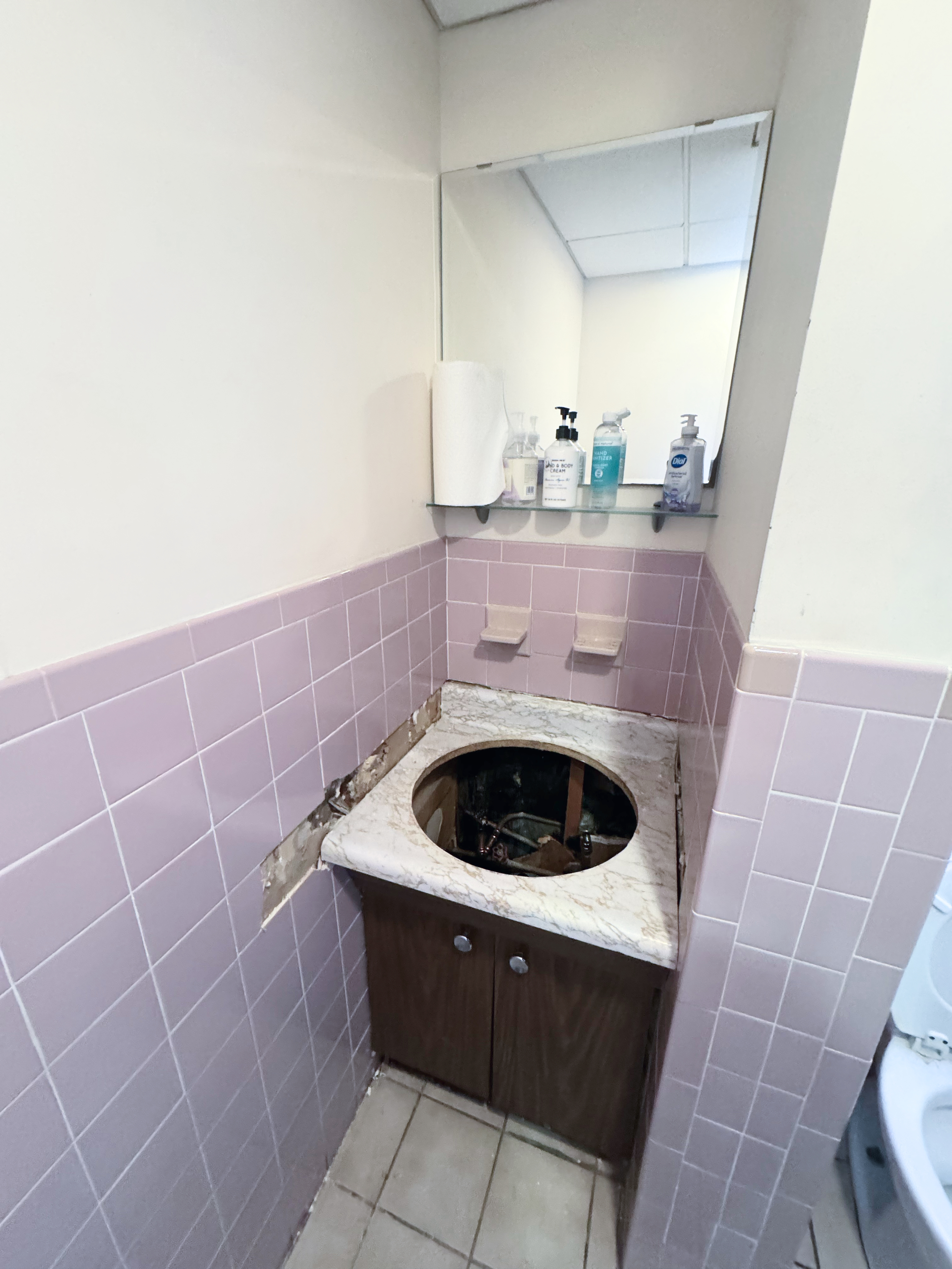 Before photo showing work in